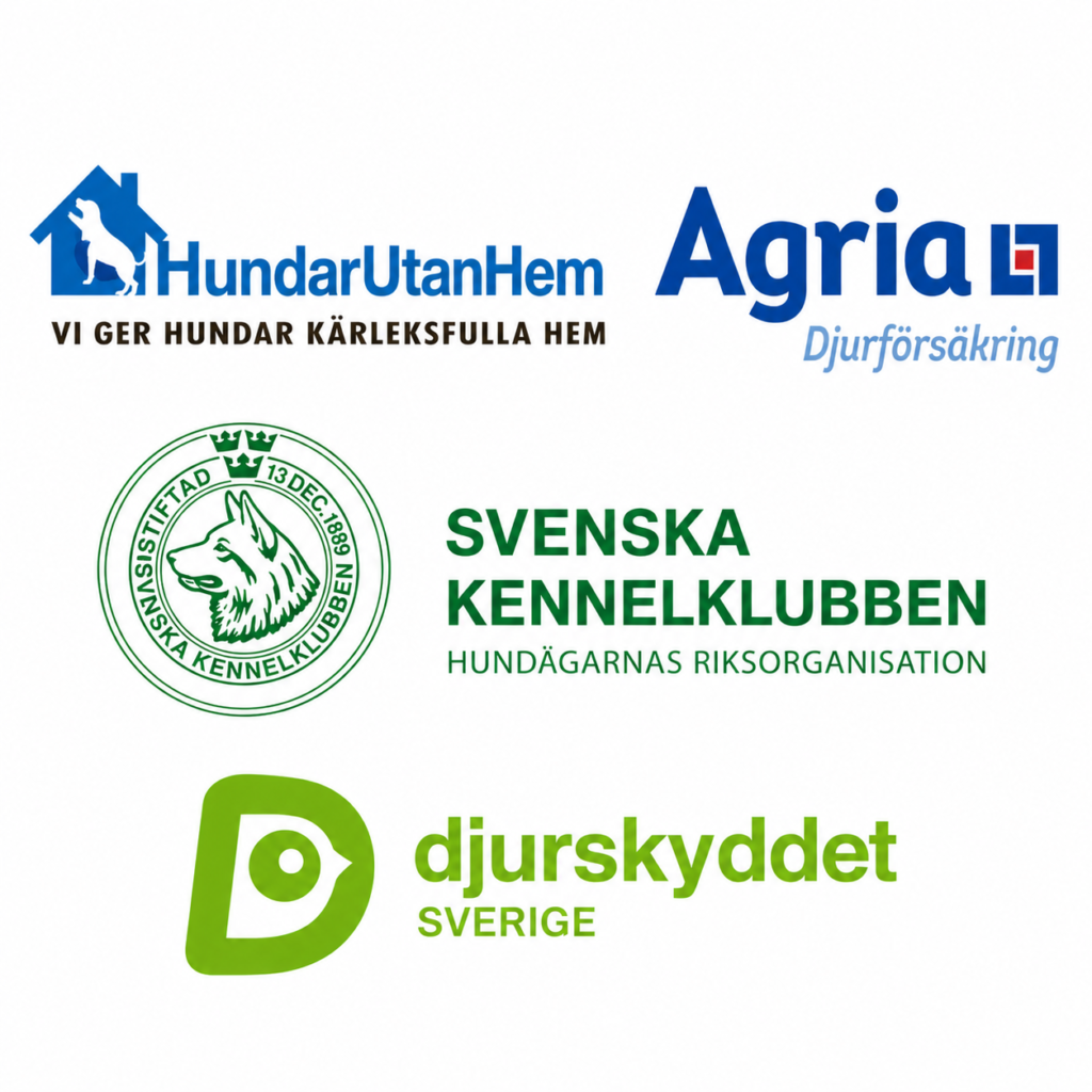 Ge tillbaka - donera till hundarna x Dogdays