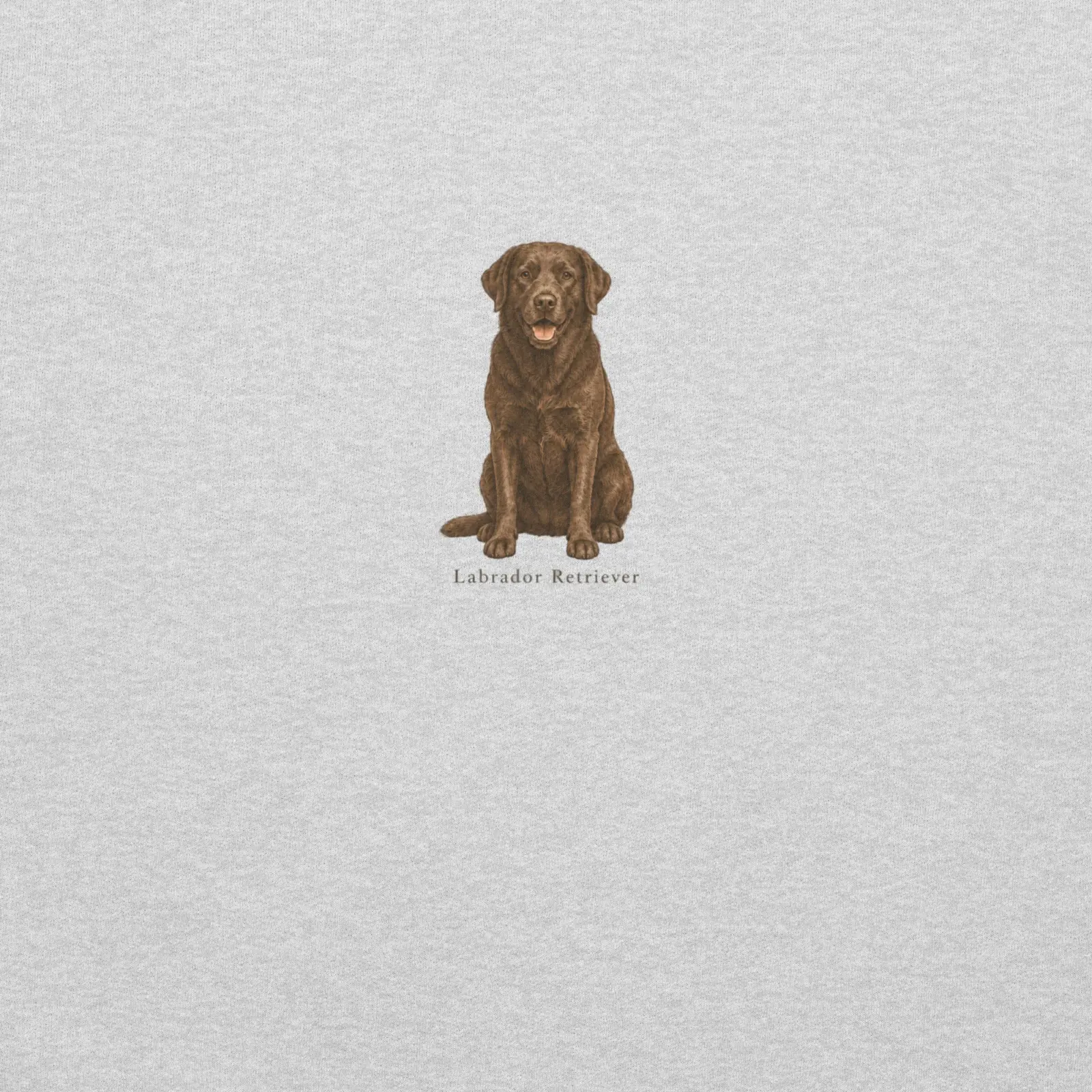 Labrador | Hoodie i ash från Dogdays