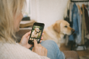 Kan man använda mobilfoto till hundmotiv? - blog image about mobilfoto till custom hundmotiv